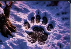 Contact artwork
